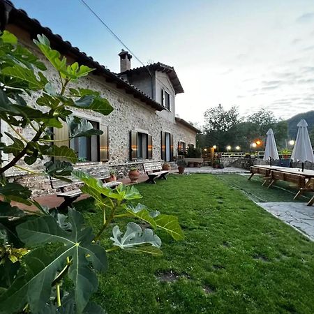 Spacious House In Ogassa With Terrace And Bbq Buitenkant foto